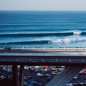 Surftrip